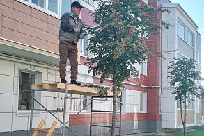Результаты благоустройства