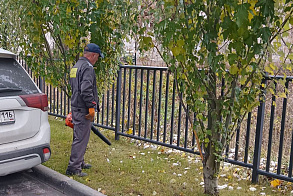 Результаты благоустройства в ЖК «Уникум на Ершова»