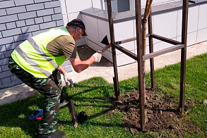Результаты благоустройства