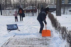 Результаты благоустройства в ЖК «Венский лес»