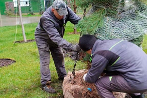 Результаты благоустройства