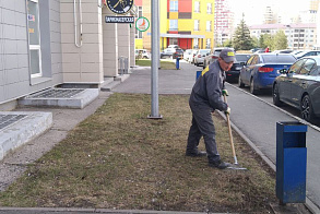 Результаты благоустройства в ЖК «Сокольники»