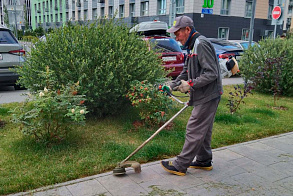 Результаты благоустройства