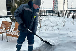 Результаты благоустройства в ЖК «Риверсайд»
