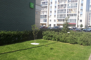 Результаты благоустройства