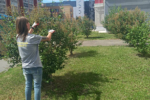 Результаты благоустройства