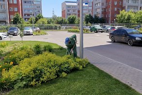Результаты благоустройства