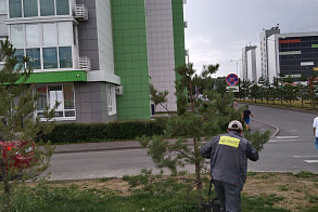 Результаты благоустройства