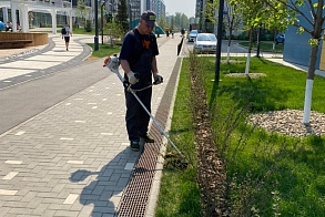 Результаты благоустройства