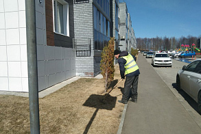 Результаты благоустройства