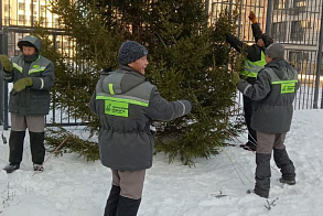 Результаты благоустройства