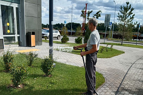 Результаты благоустройства