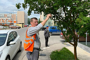 Результаты благоустройства