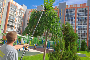 Результаты благоустройства