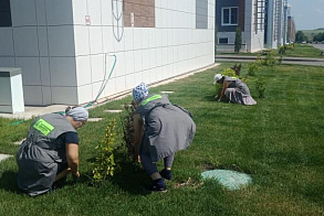 Результаты благоустройства