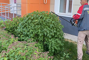 Результаты благоустройства