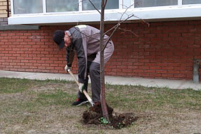 Результаты благоустройства