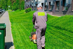 Результаты благоустройства