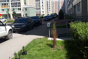 Результаты благоустройства