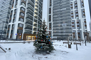 Результаты благоустройства