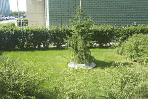 Результаты благоустройства