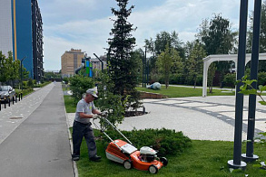 Результаты благоустройства