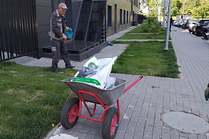 Результаты благоустройства