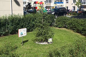 Результаты благоустройства