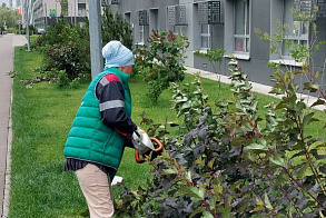 Результаты благоустройства
