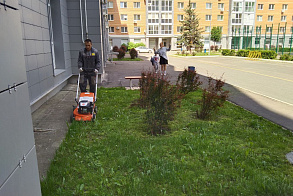 Результаты благоустройства