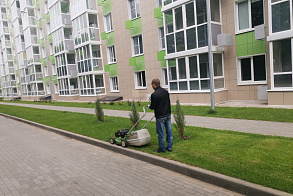 Результаты благоустройства