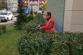 Результаты благоустройства