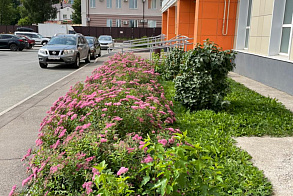 Результаты благоустройства