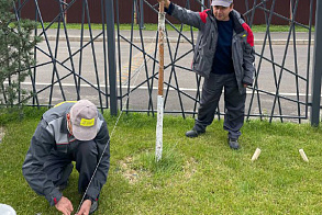 Результаты благоустройства