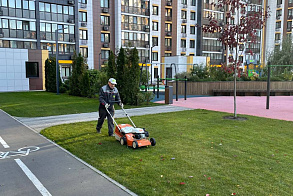 Результаты благоустройства