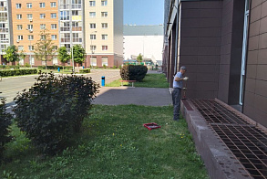 Результаты благоустройства