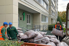 Результаты благоустройства 