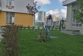 Результаты благоустройства