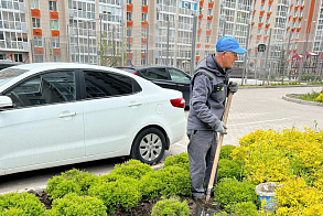 Результаты благоустройства