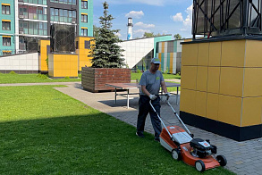 Результаты благоустройства