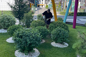 Результаты благоустройства