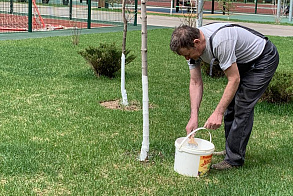 Результаты благоустройства