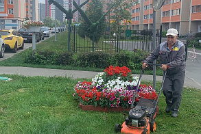 Результаты благоустройства