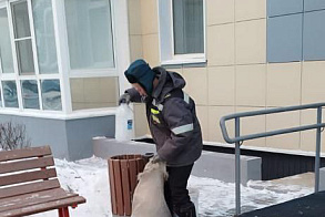 Результаты благоустройства