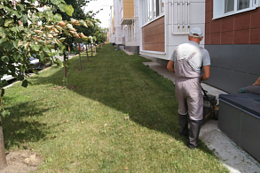 Результаты благоустройства