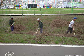 Результаты благоустройства
