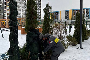 Результаты благоустройства