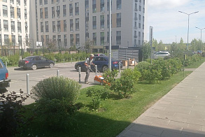 Результаты благоустройства