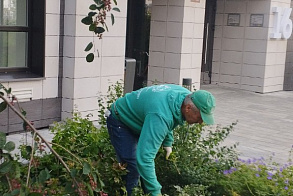 Результаты благоустройства
