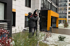 Результаты благоустройства